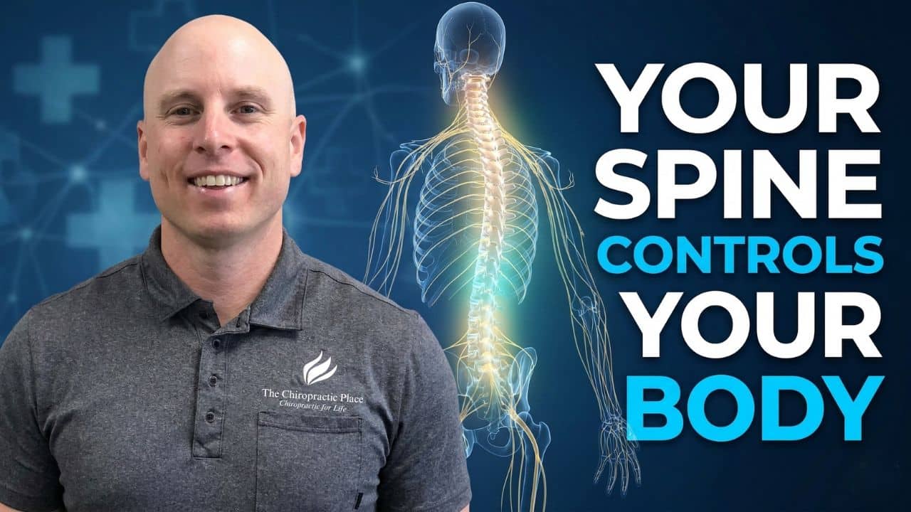 The Brain, Spine & Nervous System: Why Chiropractic Care Matters